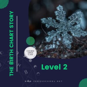 Winter 2022 - Level 2: The Birth Chart Story